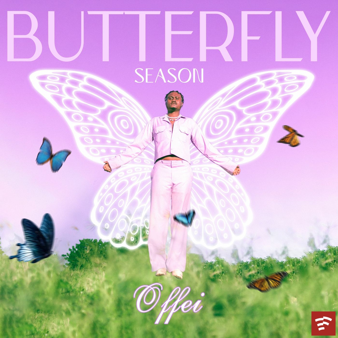 Offei Butterfly Season Album