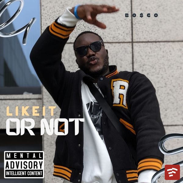 LIKE IT OR NOT Mp3 Download