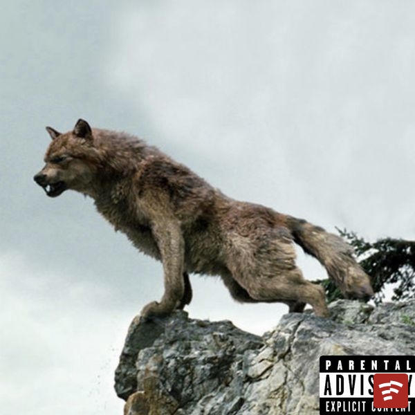 Lil Hot El Lobo Malo Album