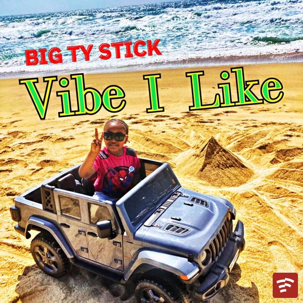 Vibe I Like Mp3 Download