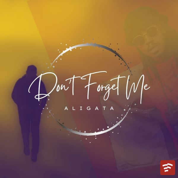 Don't Forget Me Mp3 Download