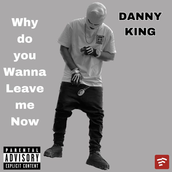 Danny King-Why Do You Wanna Leave Me Now Mp3 Download