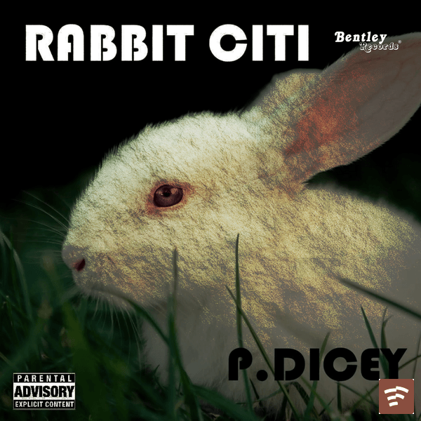 Rabbit Citi Mp3 Download