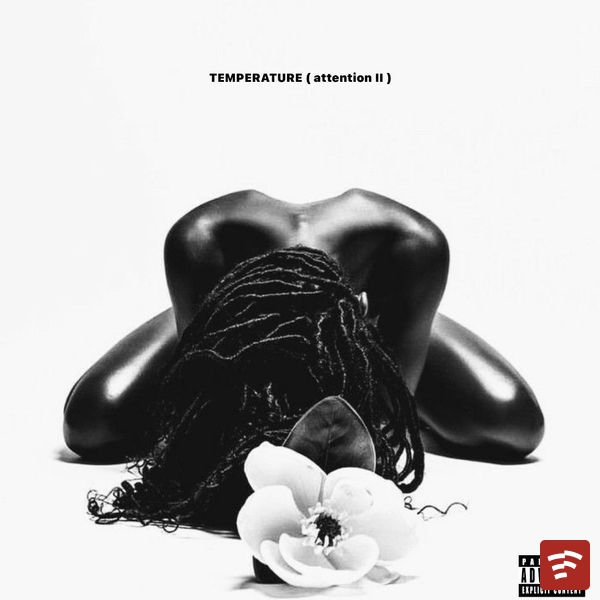 TEMPERATURE (attention 2) Mp3 Download