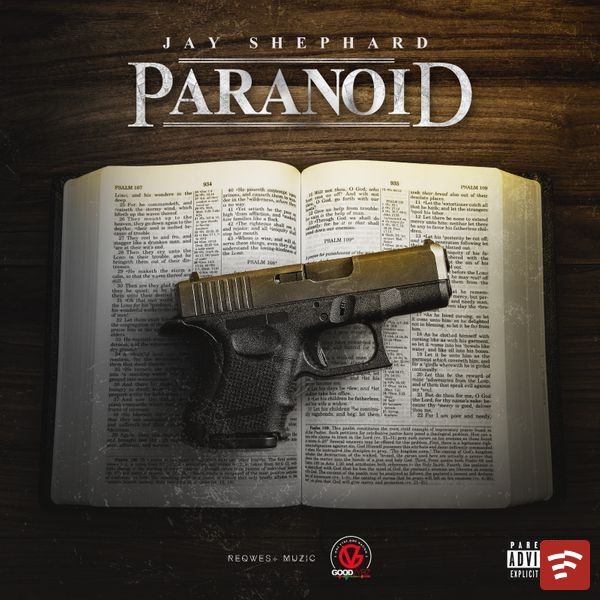 Paranoid Mp3 Download