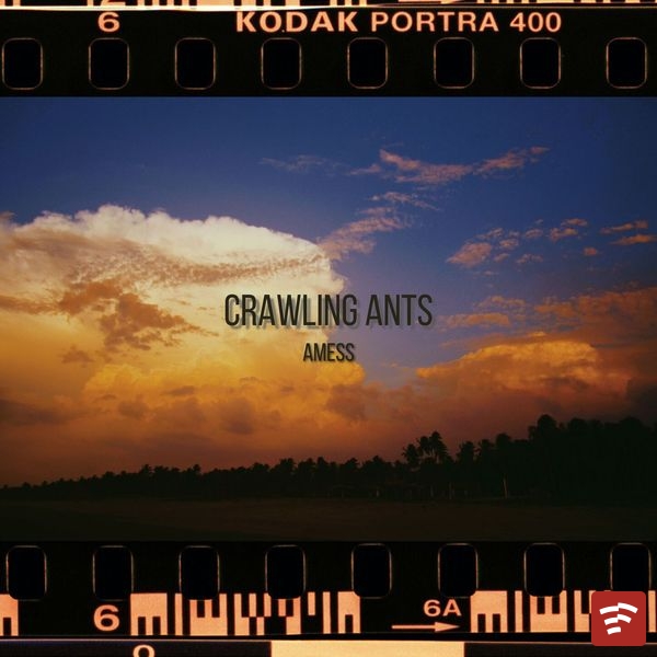 Crawling Ants Mp3 Download