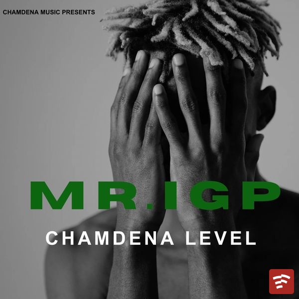 Mr.IGP Mp3 Download