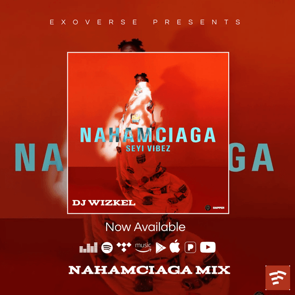 NAHAMCIAGA MIX / Best of Seyi Vibez 2024 Mp3 Download