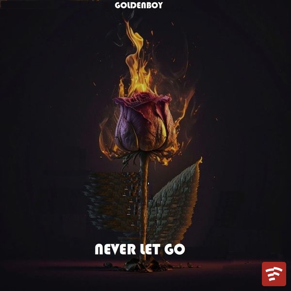 Never Let Go Mp3 Download