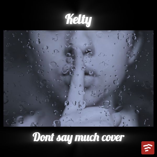 Dont say much cover. Mp3 Download