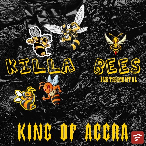 Killa Bees (INSTRUMENTAL) Mp3 Download