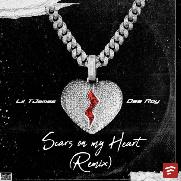Scars on my heart (remix) Mp3 Download