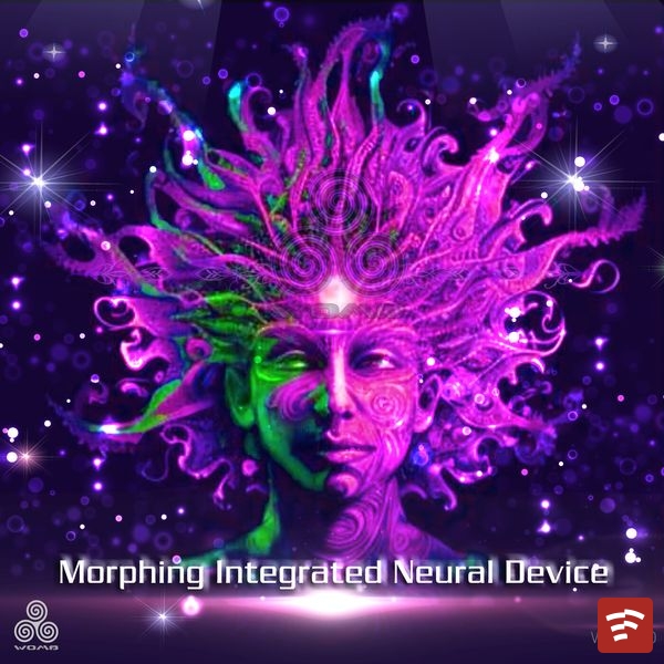 Various Artists Morphing Integrated Neural Device Album