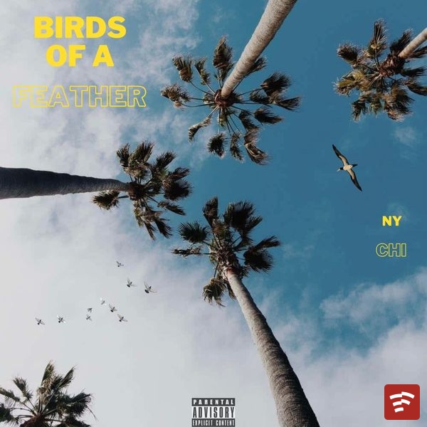 Birds of a Feather Mp3 Download