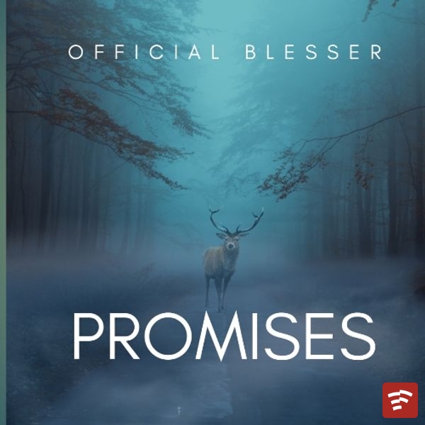 Promises Mp3 Download