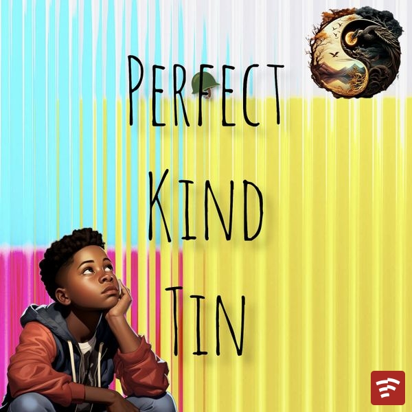 Perfect Kind Tin Mp3 Download