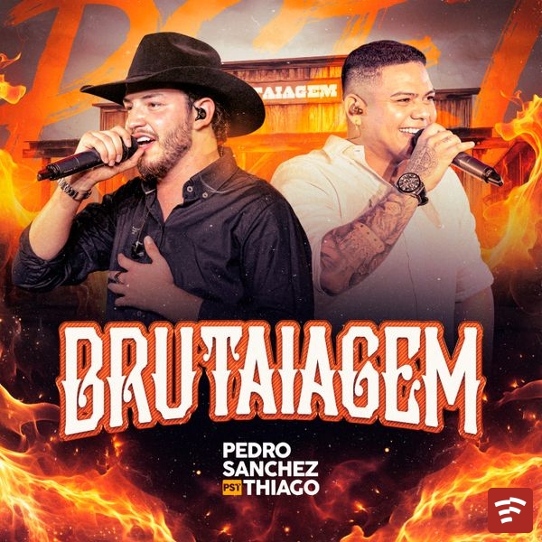 Brutaiagem Ao Vivo Mp3 Download