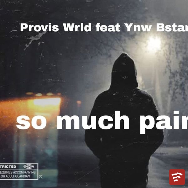 ProvisWRLD – So Much Pain ft. Ynw. B Stan