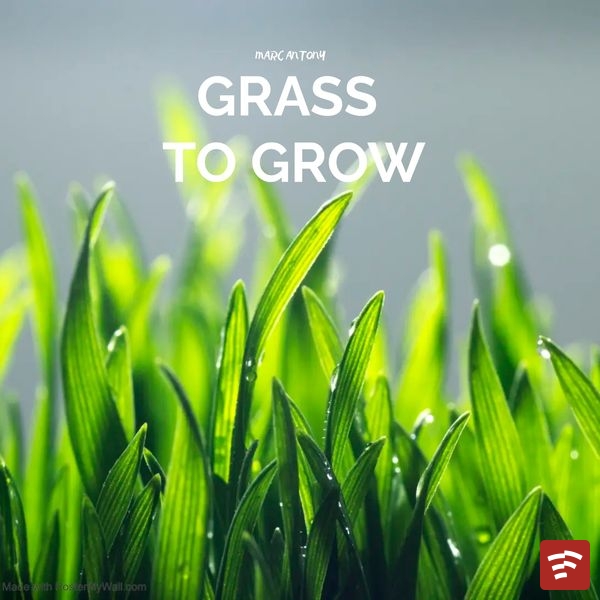 Grass To Grow Mp3 Download