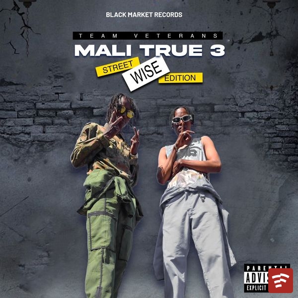 Team Veterans Mali True 3 Album