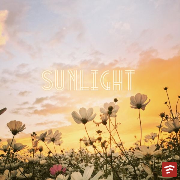 Sunlight Mp3 Download