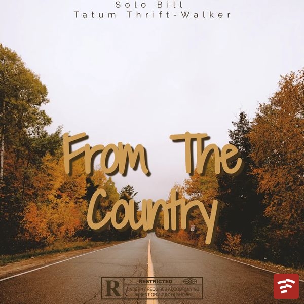 From The Country Mp3 Download