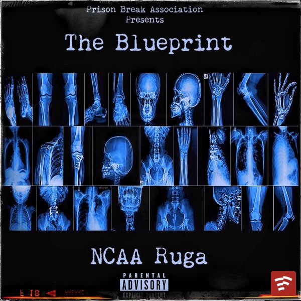 NCAA Ruga The Blueprint Album