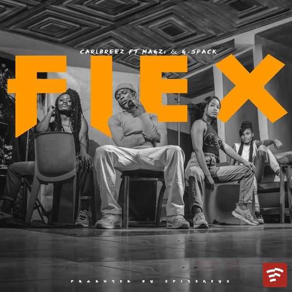 flex Mp3 Download